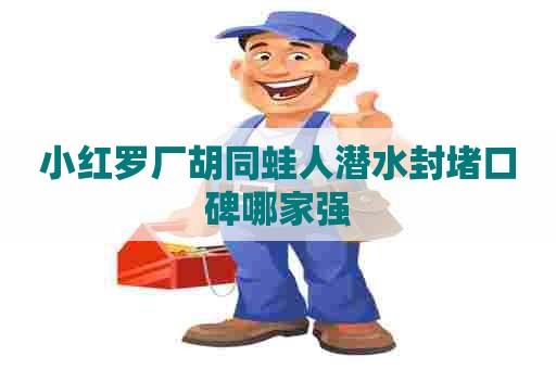 小红罗厂胡同蛙人潜水封堵口碑哪家强