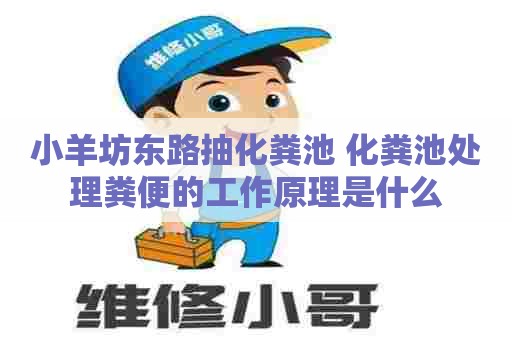 小羊坊东路抽化粪池 化粪池处理粪便的工作原理是什么