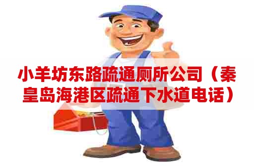 小羊坊东路疏通厕所公司(秦皇岛海港区疏通下水道电话) 小羊坊东路疏通厕所公司(秦皇岛海港区疏通下水道电话)