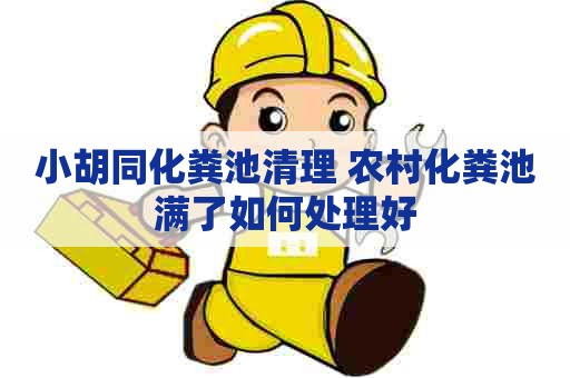 小胡同化粪池清理 农村化粪池满了如何处理好
