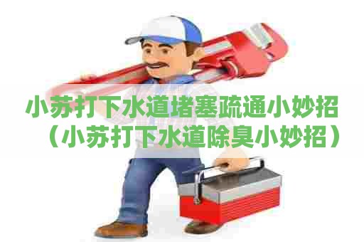 小苏打下水道堵塞疏通小妙招(小苏打下水道除臭小妙招) 小苏打下水道堵塞疏通小妙招(小苏打下水道除臭小妙招)