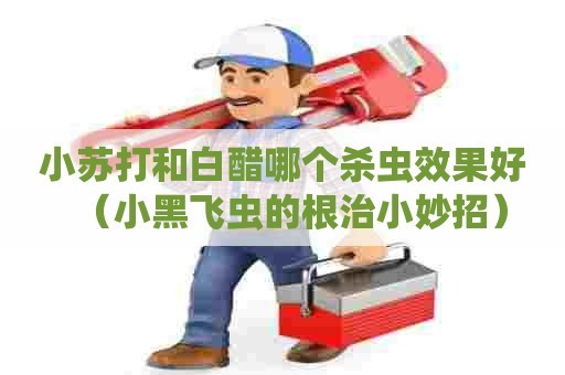 小苏打和白醋哪个杀虫效果好（小黑飞虫的根治小妙招）