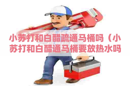 小苏打和白醋疏通马桶吗（小苏打和白醋通马桶要放热水吗）