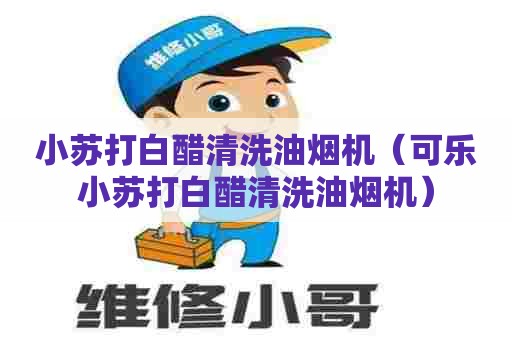 小苏打白醋清洗油烟机（可乐小苏打白醋清洗油烟机）