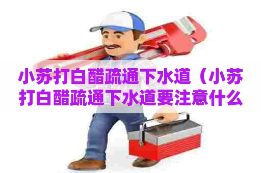 小苏打白醋疏通下水道（小苏打白醋疏通下水道要注意什么）