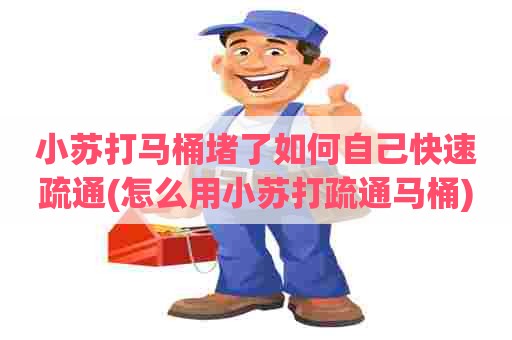 小苏打马桶堵了如何自己快速疏通(怎么用小苏打疏通马桶)