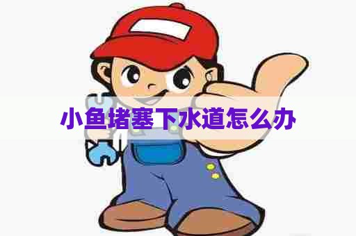小鱼堵塞下水道怎么办