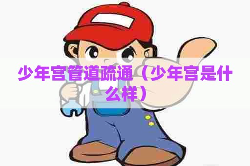 少年宫管道疏通（少年宫是什么样）