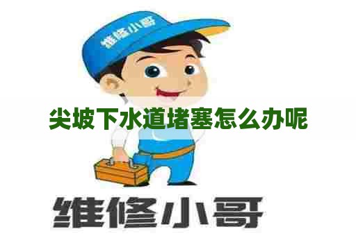 尖坡下水道堵塞怎么办呢