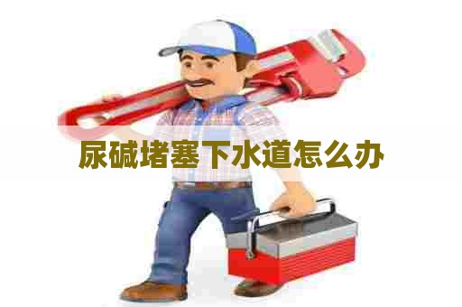 尿碱堵塞下水道怎么办