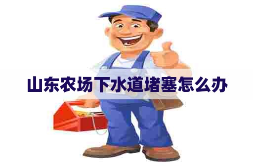 山东农场下水道堵塞怎么办