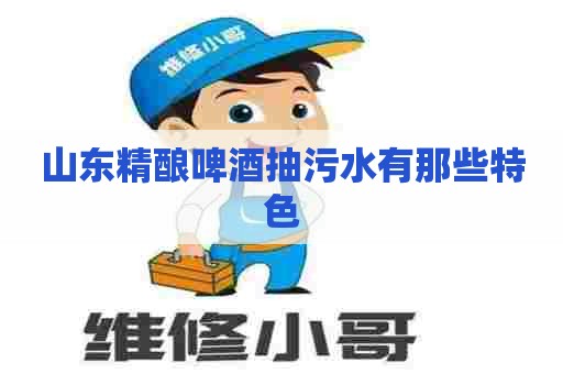 山东精酿啤酒抽污水有那些特色