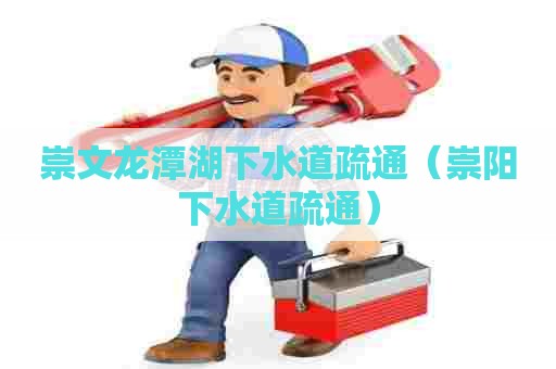 崇文龙潭湖下水道疏通（崇阳下水道疏通）