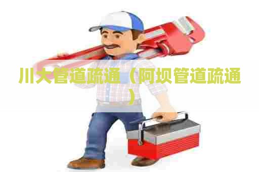 川大管道疏通（阿坝管道疏通）