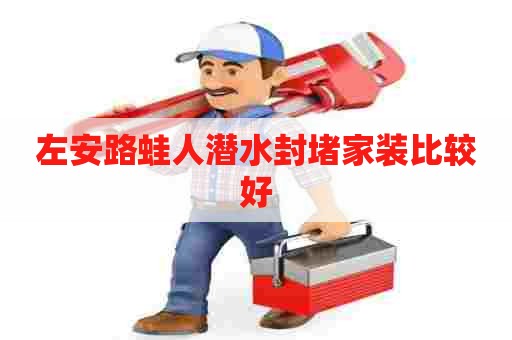 左安路蛙人潜水封堵家装比较好