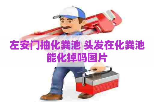 左安门抽化粪池 头发在化粪池能化掉吗图片