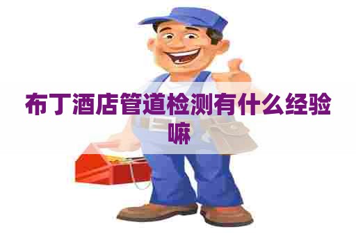 布丁酒店管道检测有什么经验嘛