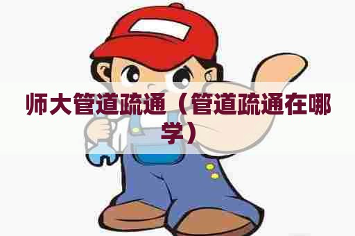 师大管道疏通（管道疏通在哪学）