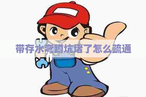带存水弯蹲坑堵了怎么疏通
