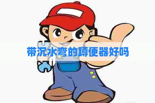 带沉水弯的蹲便器好吗