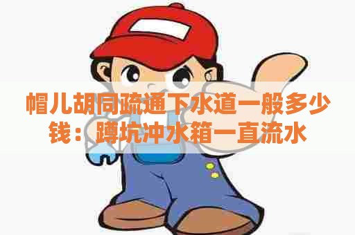 帽儿胡同疏通下水道一般多少钱：蹲坑冲水箱一直流水