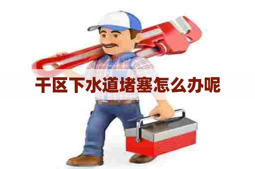 干区下水道堵塞怎么办呢 干区下水道堵塞怎么办呢