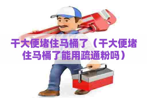 干大便堵住马桶了（干大便堵住马桶了能用疏通粉吗）