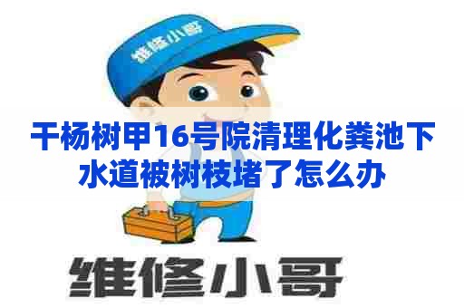 干杨树甲16号院清理化粪池下水道被树枝堵了怎么办