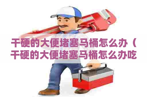 干硬的大便堵塞马桶怎么办（干硬的大便堵塞马桶怎么办吃什么药）