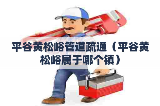 平谷黄松峪管道疏通（平谷黄松峪属于哪个镇）