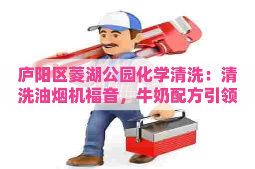 庐阳区菱湖公园化学清洗：清洗油烟机福音，牛奶配方引领新潮流
