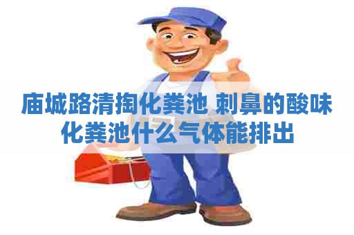庙城路清掏化粪池 刺鼻的酸味化粪池什么气体能排出