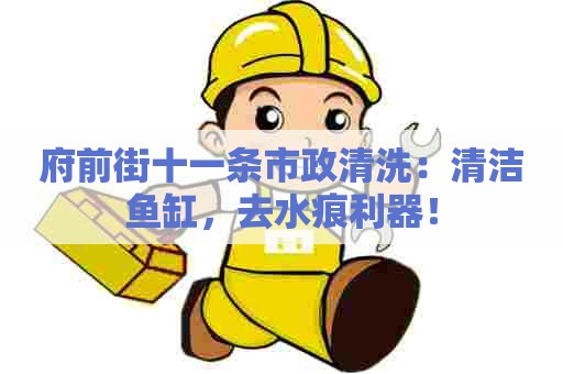 府前街十一条市政清洗：清洁鱼缸，去水痕利器！