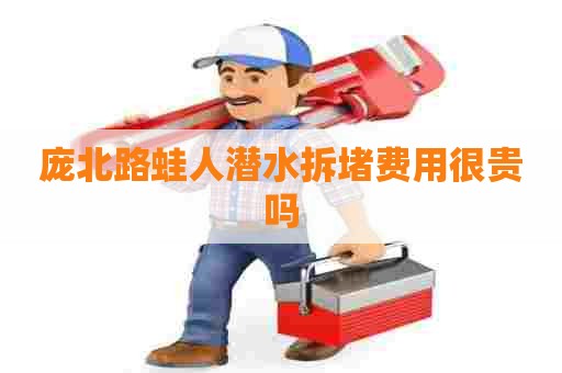 庞北路蛙人潜水拆堵费用很贵吗