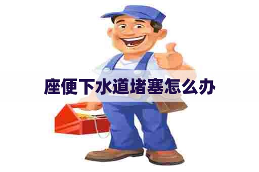 座便下水道堵塞怎么办 座便下水道堵塞怎么办