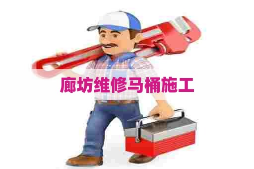 廊坊维修马桶施工 廊坊维修马桶施工