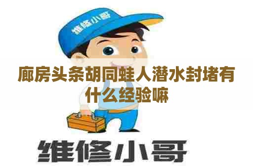 廊房头条胡同蛙人潜水封堵有什么经验嘛