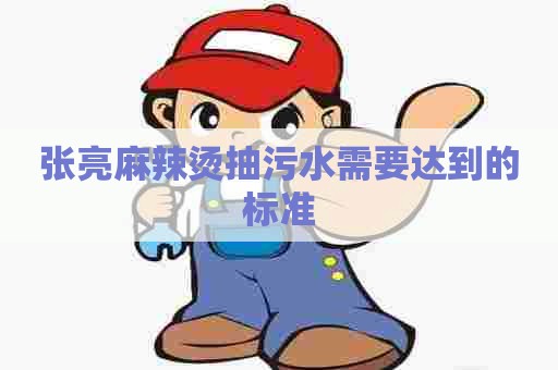 张亮麻辣烫抽污水需要达到的标准