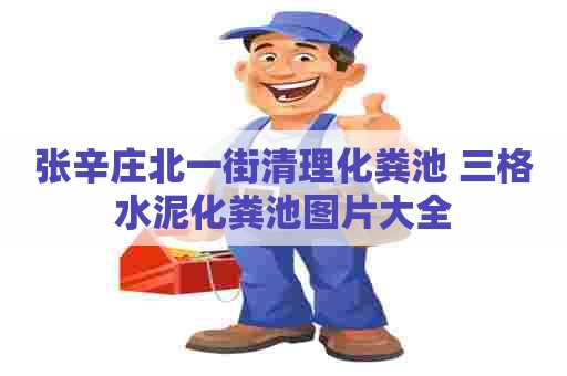 张辛庄北一街清理化粪池 三格水泥化粪池图片大全