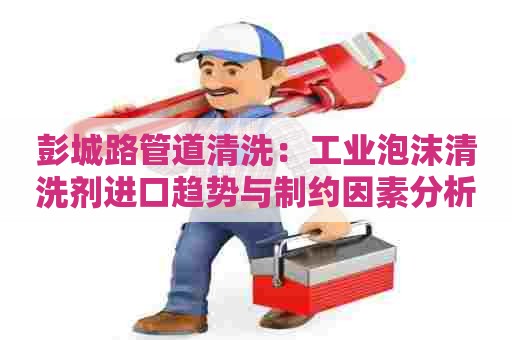 彭城路管道清洗：工业泡沫清洗剂进口趋势与制约因素分析