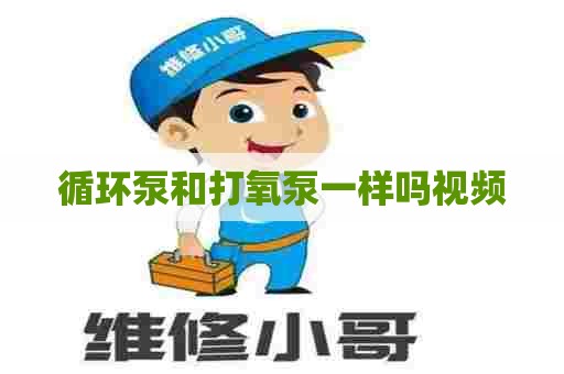 循环泵和打氧泵一样吗视频