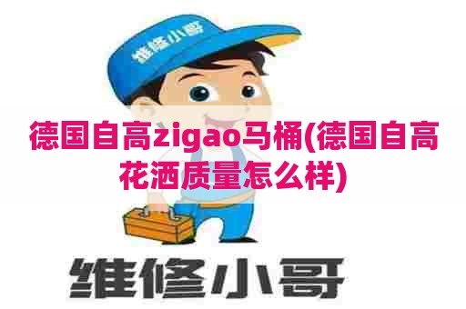 德国自高zigao马桶(德国自高花洒质量怎么样)