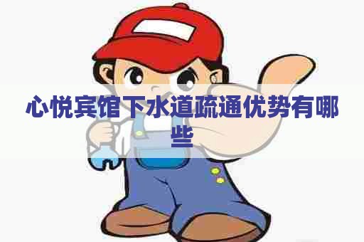 心悦宾馆下水道疏通优势有哪些