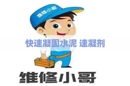 快速凝固水泥 速凝剂