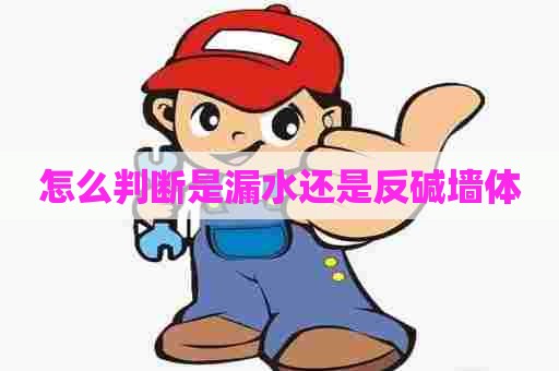 怎么判断是漏水还是反碱墙体