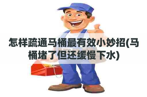 怎样疏通马桶最有效小妙招(马桶堵了但还缓慢下水) 怎样疏通马桶最有效小妙招(马桶堵了但还缓慢下水)