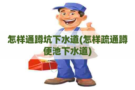 怎样通蹲坑下水道(怎样疏通蹲便池下水道) 怎样通蹲坑下水道(怎样疏通蹲便池下水道)