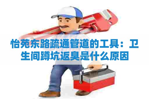 怡苑东路疏通管道的工具：卫生间蹲坑返臭是什么原因