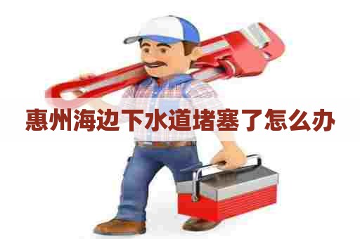 惠州海边下水道堵塞了怎么办