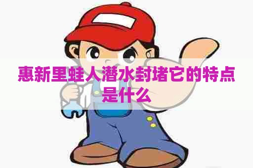 惠新里蛙人潜水封堵它的特点是什么